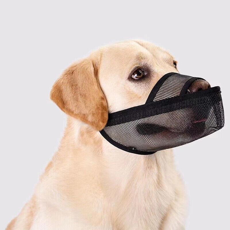 Premium Adjustable Dog Muzzle Breathable Nylon - Black XL
