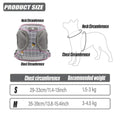 Premium Pink Mesh Pet Harness & Lead - S