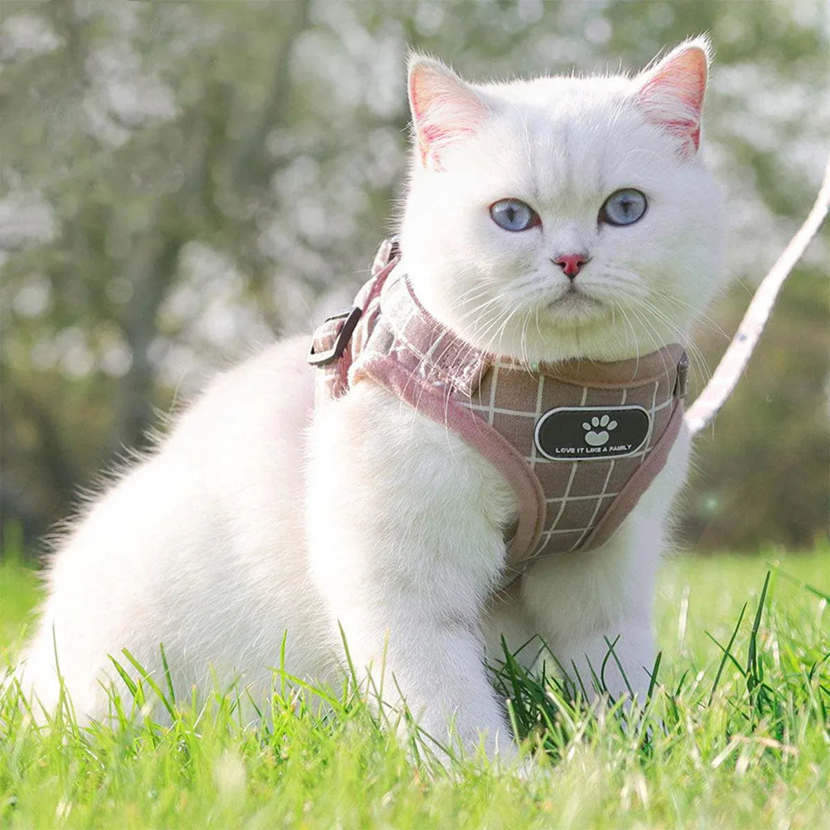 Premium Pink Mesh Pet Harness & Lead - S