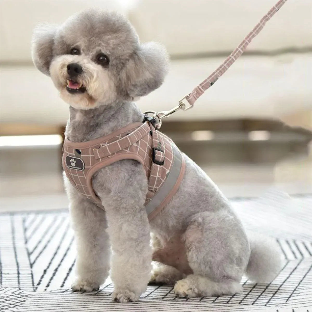 Premium Pink Mesh Pet Harness & Lead - S