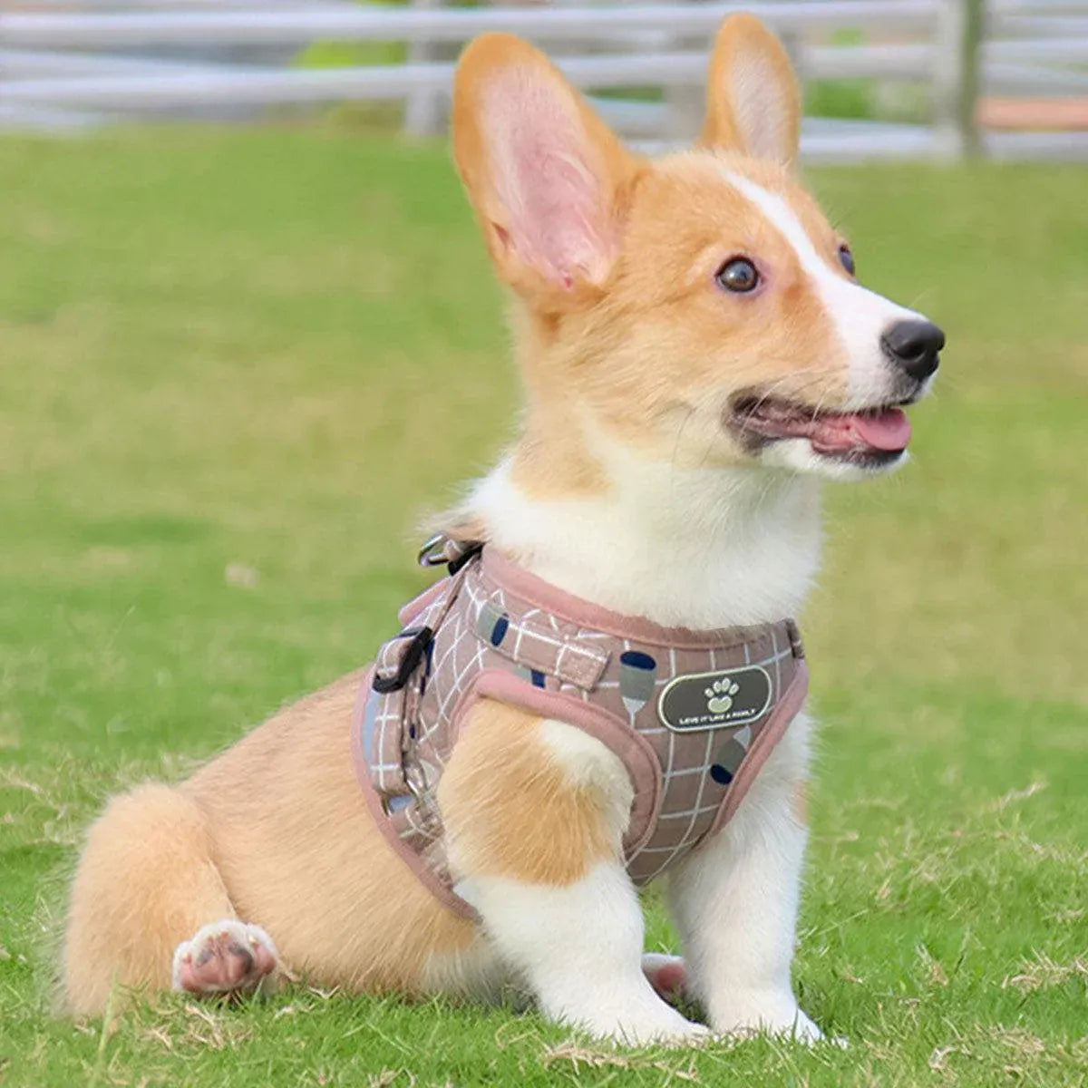 Premium Pink Mesh Pet Harness & Lead - S