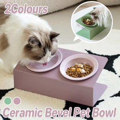 Ceramic Slant Double Bowl - Non-Slip Feeding Dish for Cats & Dogs - Purple