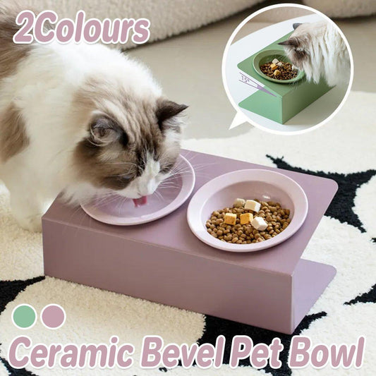 Ceramic Slant Double Bowl - Non-Slip Feeding Dish for Cats & Dogs - Purple