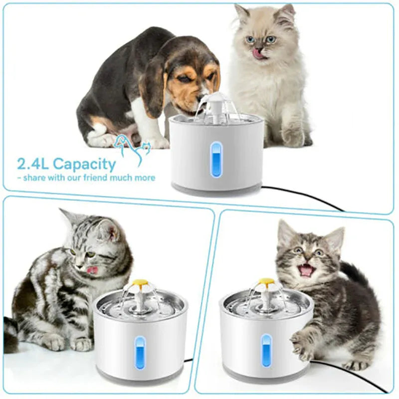 Premium 2.4L LED Pet Water Fountain with Stainless Steel Top