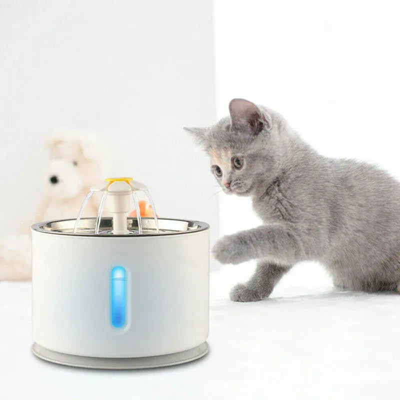 Premium 2.4L LED Pet Water Fountain with Stainless Steel Top