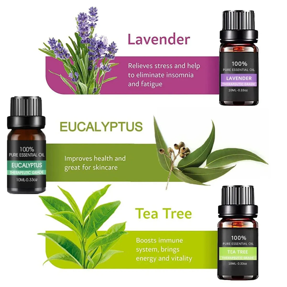 Premium 6 Piece Plant Essential Oil Set for Aromatherapy Diffusers