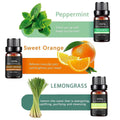Premium 6 Piece Plant Essential Oil Set for Aromatherapy Diffusers
