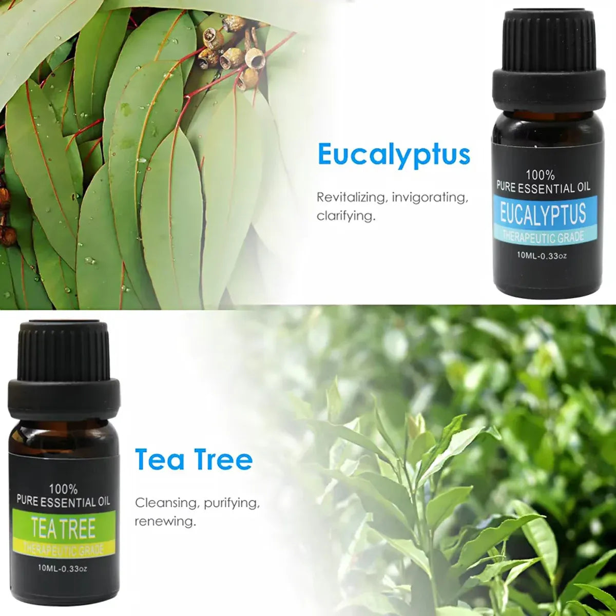 Premium 6 Piece Plant Essential Oil Set for Aromatherapy Diffusers