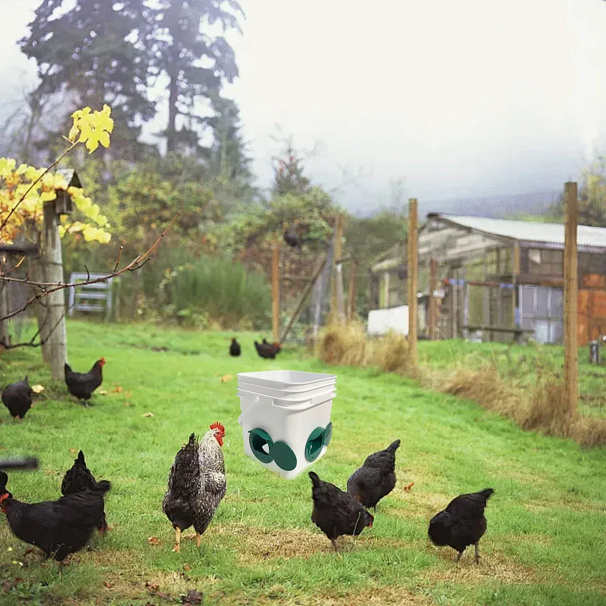 Premium Automatic Chicken Feeder Ports with Hole Saw - 5 Piece