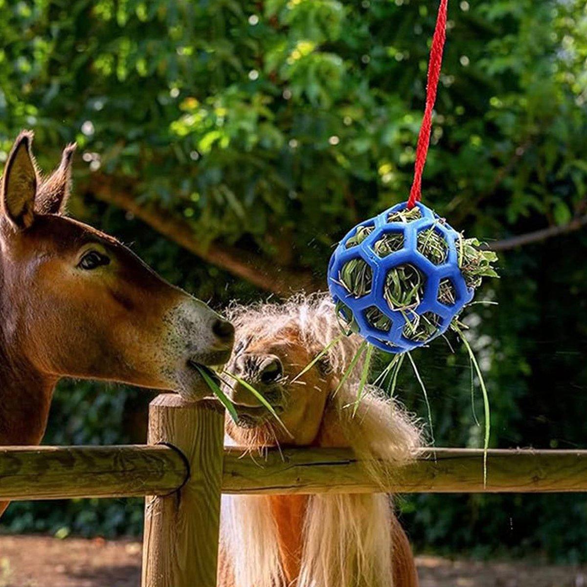 Premium Blue Horse Hay Feeder Ball Slow Feeding Toy - 14cm