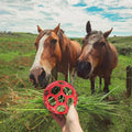 Premium Green Horse Hay Feeder Ball Slow Feeding Toy - 14cm
