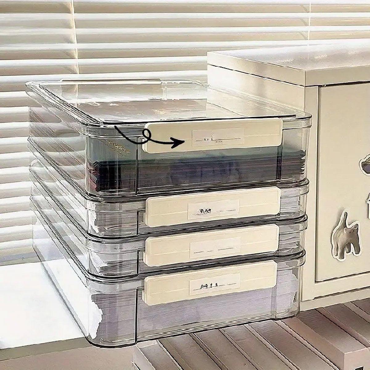 Premium Transparent A4 File Storage Box – Large