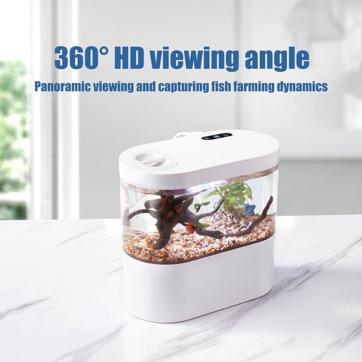 Mini Self-Circulating Desktop Fish Tank 4L Eco-Friendly Aquarium - Pink