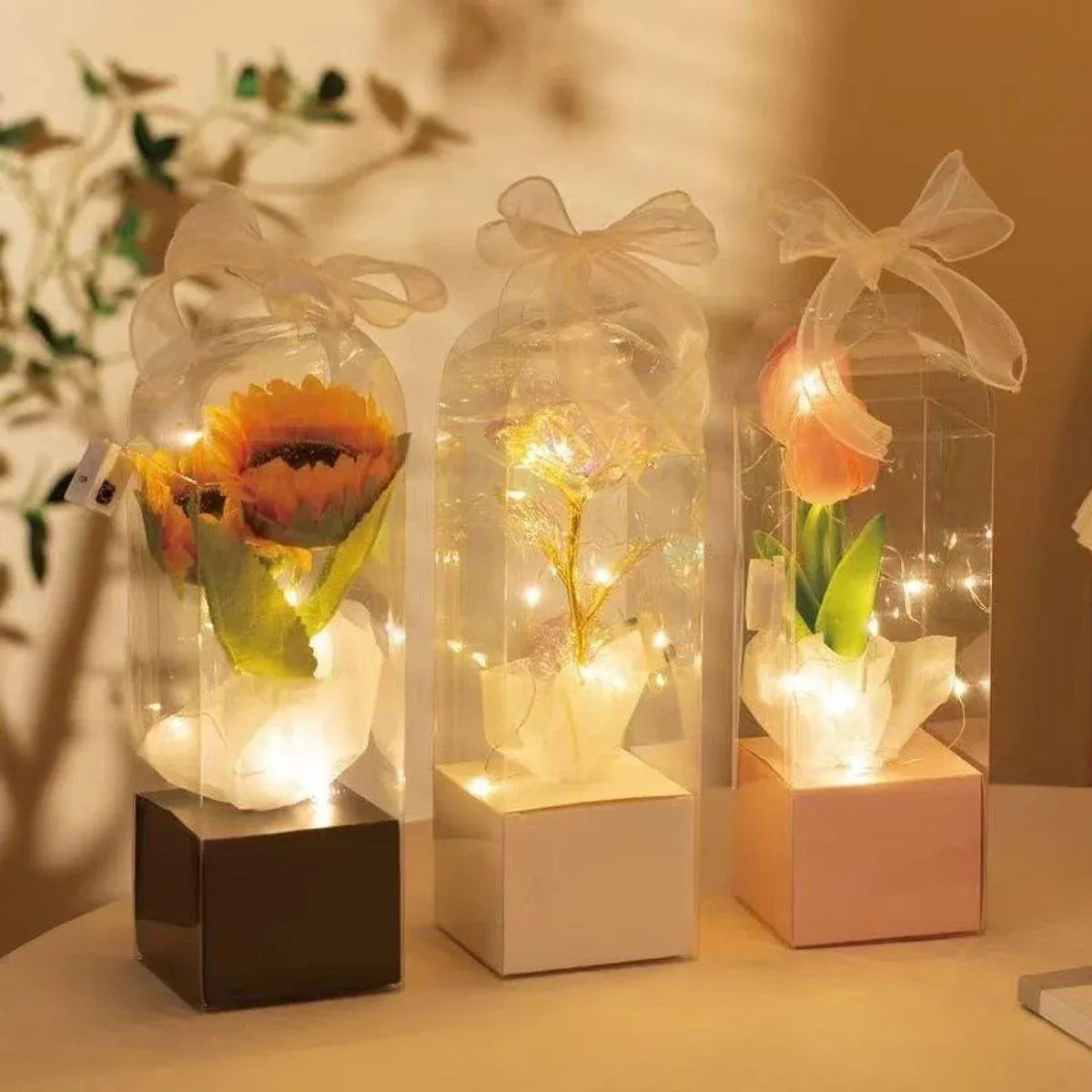 Premium 10 Pack Black Transparent PVC Flower Bouquet Gift Boxes 8x8x25cm