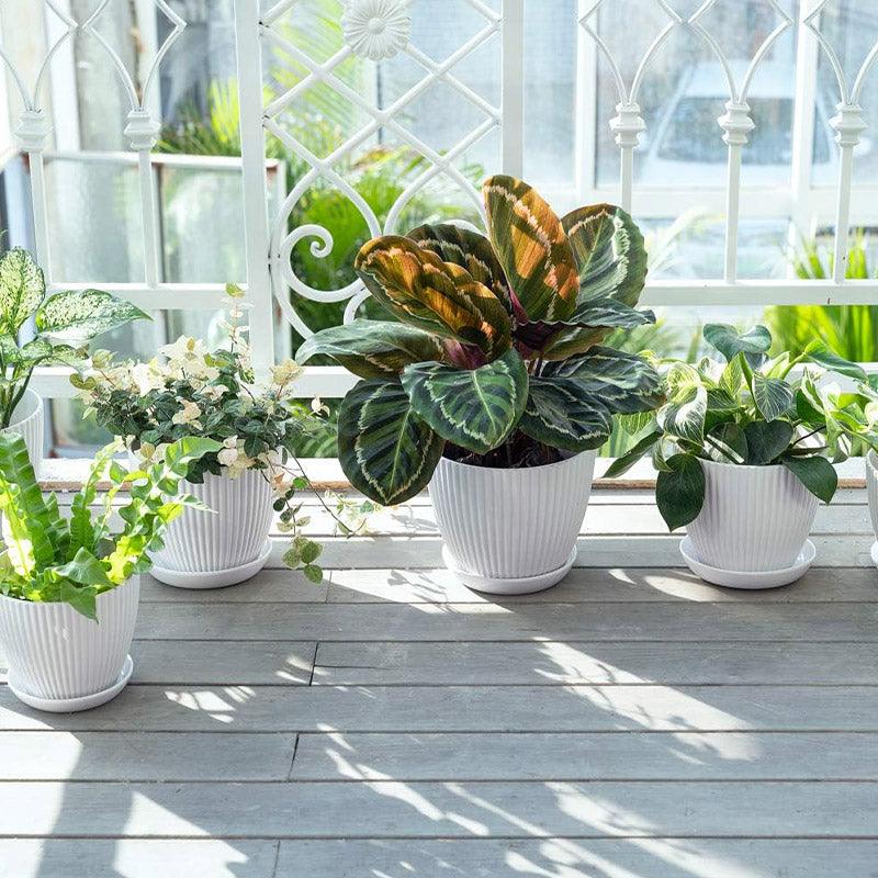 6PCS Simple Plastic Round Plant Pots Vertical Stripes Flower Pot Green Gardening - Green - SuperSaverAU - view 4