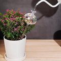 Premium Automatic Glass Watering Globes – Transparent 2 Pack