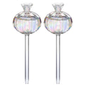 Premium Automatic Glass Watering Globes – Transparent 2 Pack