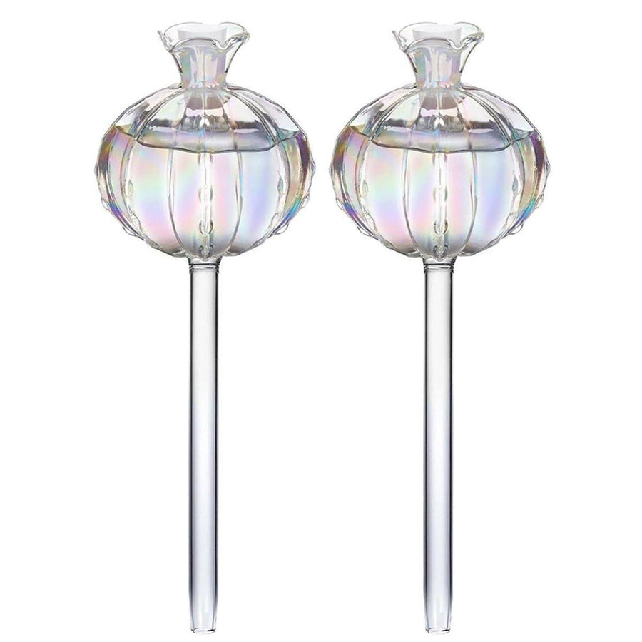 Premium Automatic Glass Watering Globes – Transparent 2 Pack