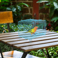 Collapsible Wire-Frame Pet Transport Cages - Small (5.11 x 7 x 5.11 in), 10pcs - SuperSaverAU - view 5