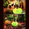 Premium Reptile Water Bowl with Inverted Bottle - Purple Platform L