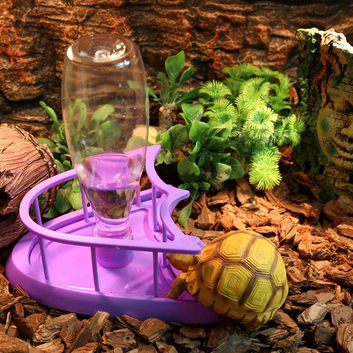 Premium Reptile Water Bowl with Inverted Bottle - Purple Platform L