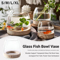 Premium Japanese Style Glass Vase Fish Tank – Large