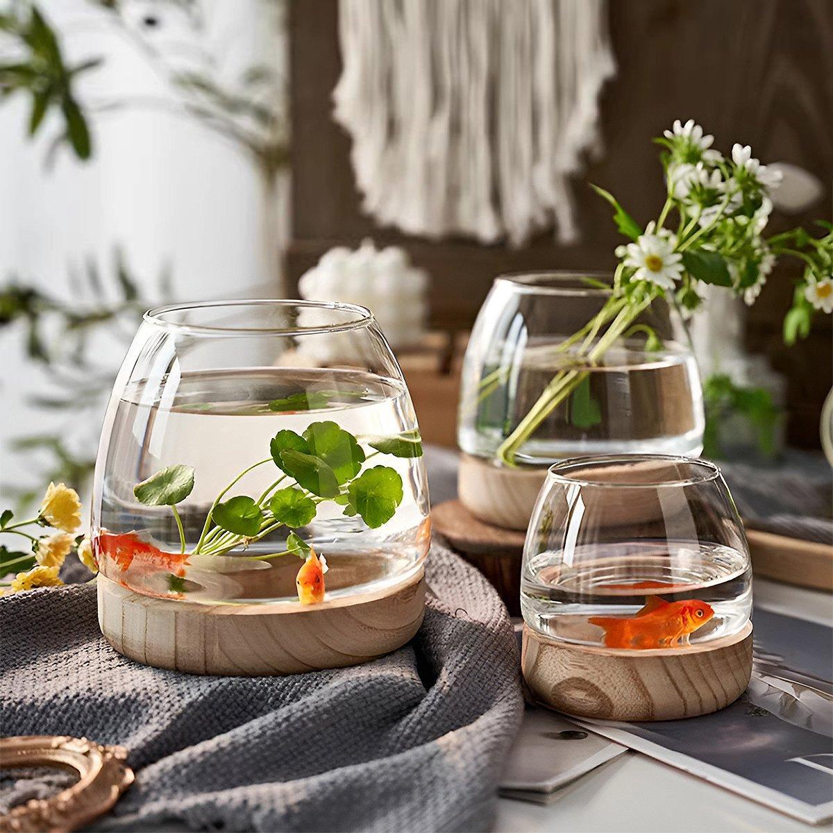 Premium Japanese Style Glass Vase Fish Tank – Large