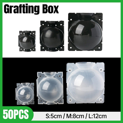 50pcs Plant High-pressure Grafting Box Rooting Device - Black, Medium Size - SuperSaverAU - view 1