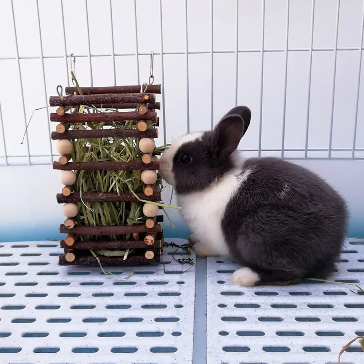 Premium Rabbit Hay Feeder Rack with Apple Wood Chew Frame