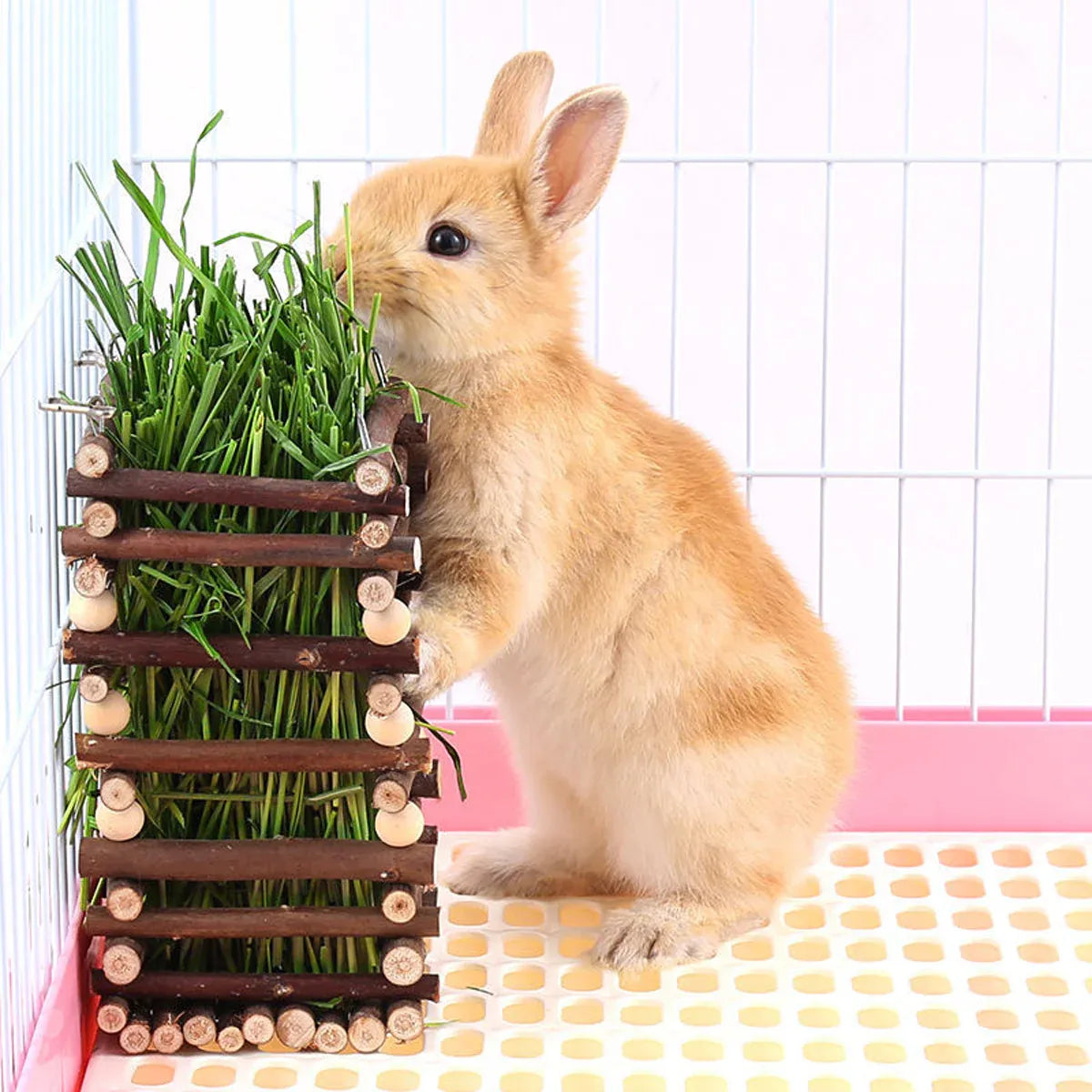 Premium Rabbit Hay Feeder Rack with Apple Wood Chew Frame