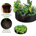 Felt Planting Bags - Round Vegetable Garden Grow Bags - Black - 50*20cm - Durable & Eco-Friendly - SuperSaverAU - view 5
