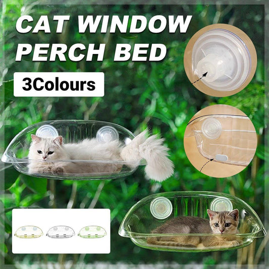 Transparent Cat Window Perch Bed - 50cm x 30.5cm - Durable AS Material, Suction Cups
