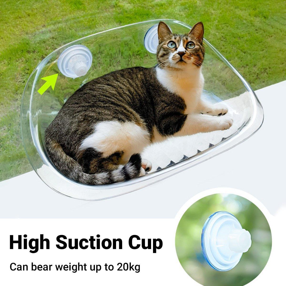 Transparent Cat Window Perch Bed - 50cm x 30.5cm - Durable AS Material, Suction Cups