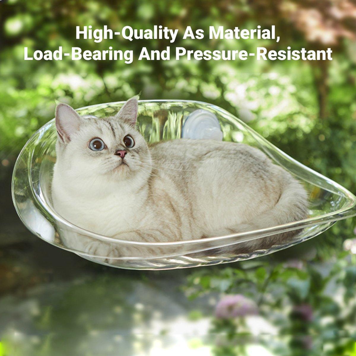 Transparent Cat Window Perch Bed - 50cm x 30.5cm - Durable AS Material, Suction Cups