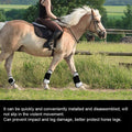 Premium Horse Leg Gaiters 4pcs for Joint Protection - White