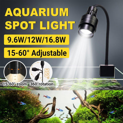 Fish Tank Clamp Light 16.8W Adjustable Focus for Aquarium Landscape Lighting