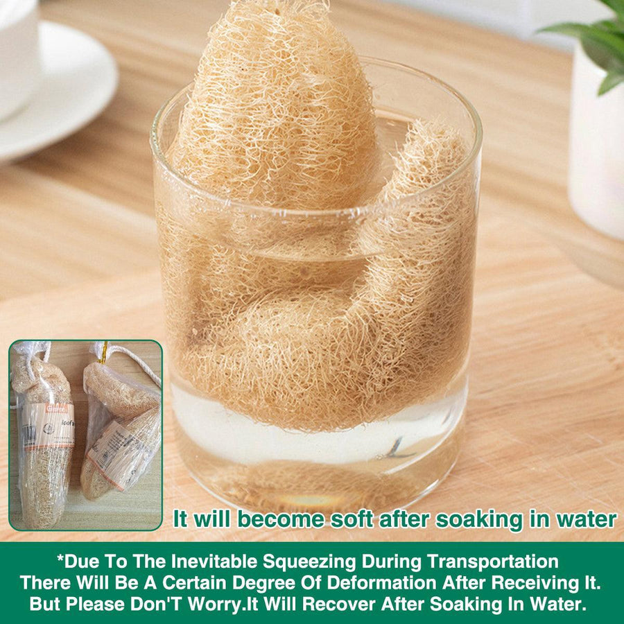 Natural Loofah Sponge Kitchen Scrubber Set - 5 Pack, Eco-Friendly, Non-Scratch, 20-29 cm - SuperSaverAU - view 1