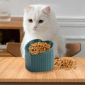 Premium Green Heart-Shaped Ceramic Slanted Cat Bowl - 200ml