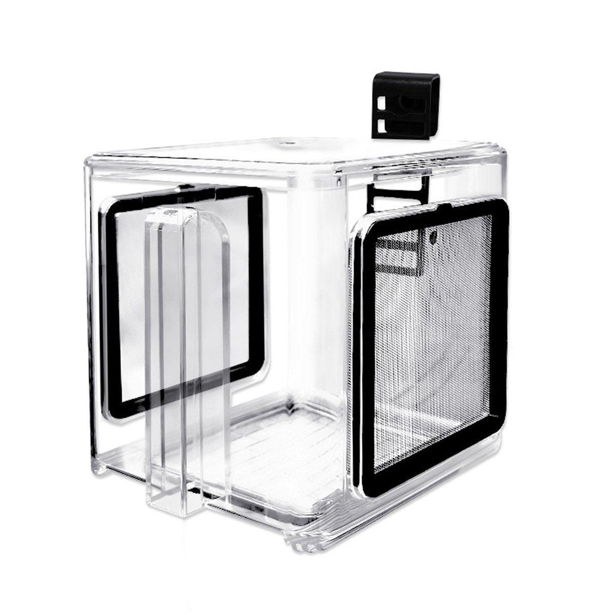Premium Acrylic Aquarium Isolation Box with 304SS Mesh - 15cm