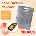 Premium Aluminium Foil Insulated Food Storage Bags - 100 Pack, 20 x 30cm