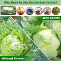 Premium Fibreglass Plant Protector Cover – HDPE Mesh 125 x 65 x 65cm