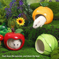 Premium Ceramic Hamster Nest Small Animal Hideout - Watermelon