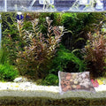 Premium Aquarium Filter Media Mesh Bags with Zip 30 x 40cm - 10 Pack