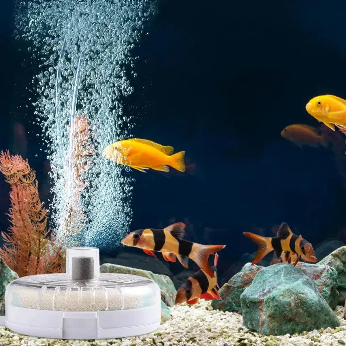 Premium Aquarium Mini Small Tank Filter with Aeration - 10cm