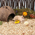 Premium Corncob Small Pet Bedding with Flowers & Plants - 1000g