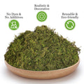 Natural Dried Moss Bedding 100g - 5 Packs for Hamsters & Reptiles - SuperSaverAU - view 3
