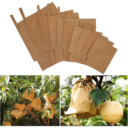 100 Protective Paper Fruit Bags for Orchard Harvest Storage