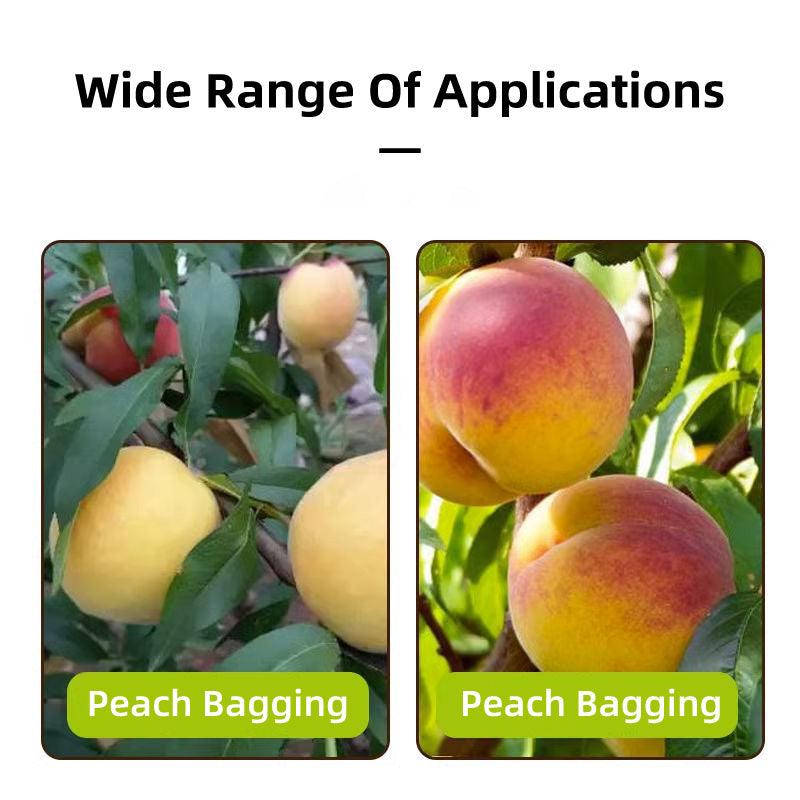 100 Protective Paper Fruit Bags for Orchard Harvest Storage