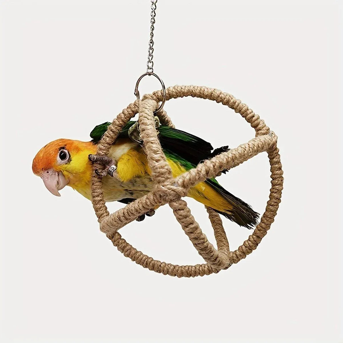 Parrot Toy with Ball Ring & Hemp Rope, 17cm - Interactive Chew & Swing Activity