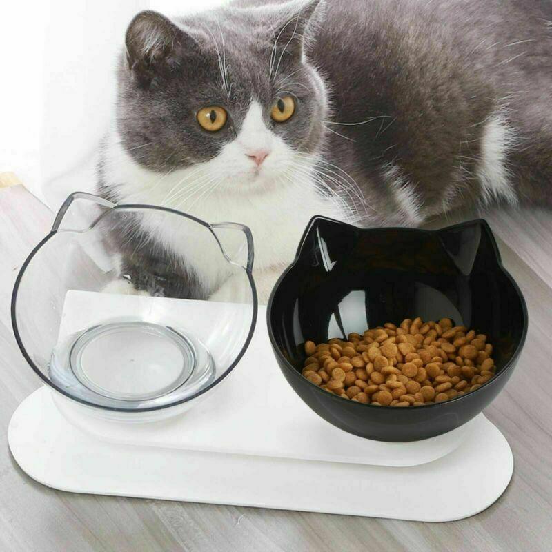 Premium Black Double Elevated Cat & Dog Bowl with 15° Tilt